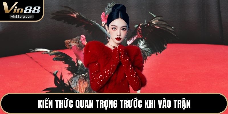 Kiến thức quan trọng trước khi vào trận