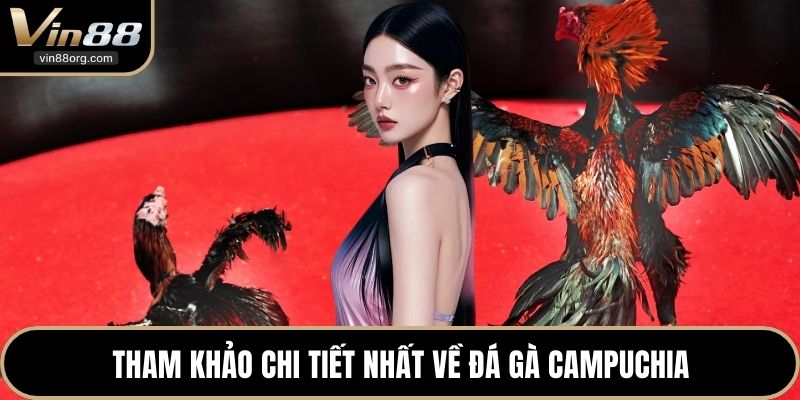 Tham khảo chi tiết nhất về đá gà Campuchia
